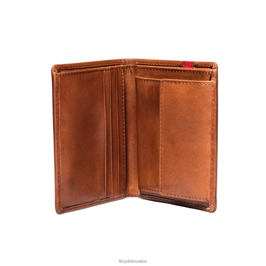 LLOYD vrecko muži príslušenstvo hnedá 6R0JN656