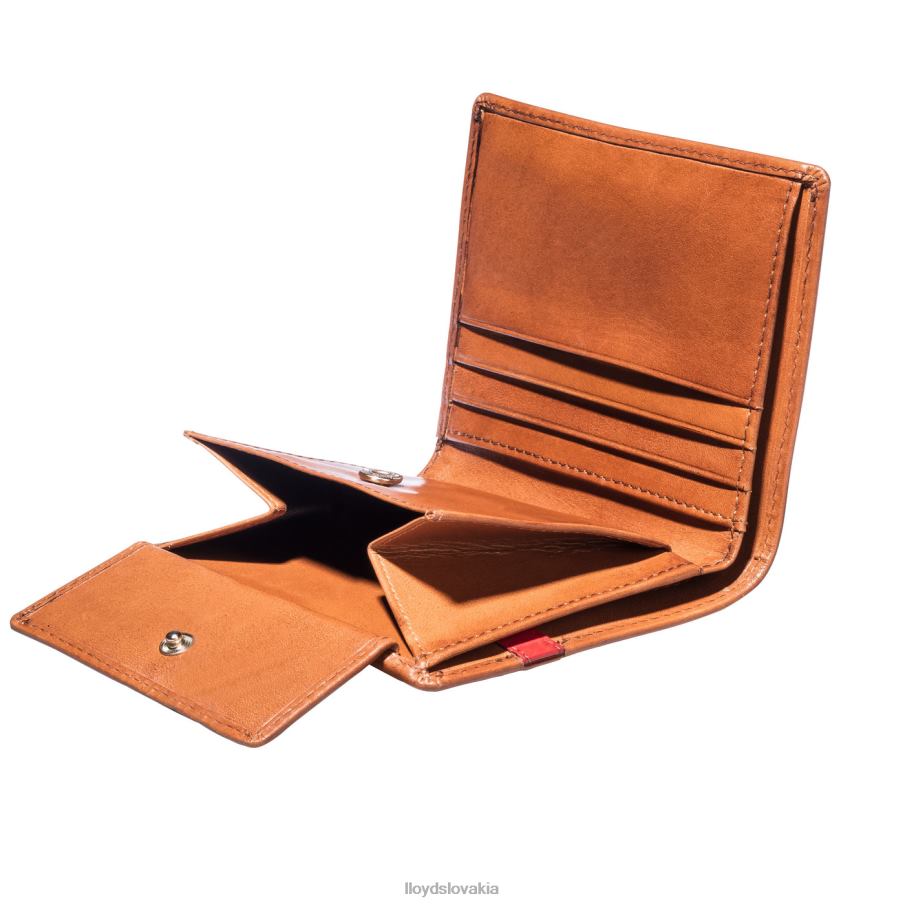 LLOYD vrecko muži príslušenstvo hnedá 6R0JN656