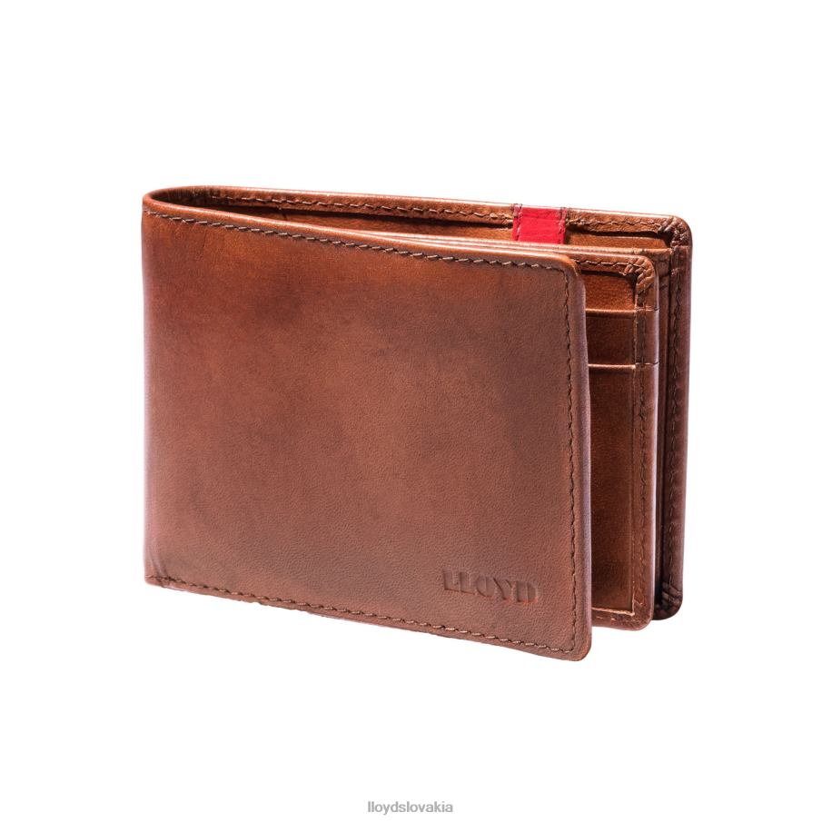 LLOYD vrecko muži príslušenstvo hnedá 6R0JN677