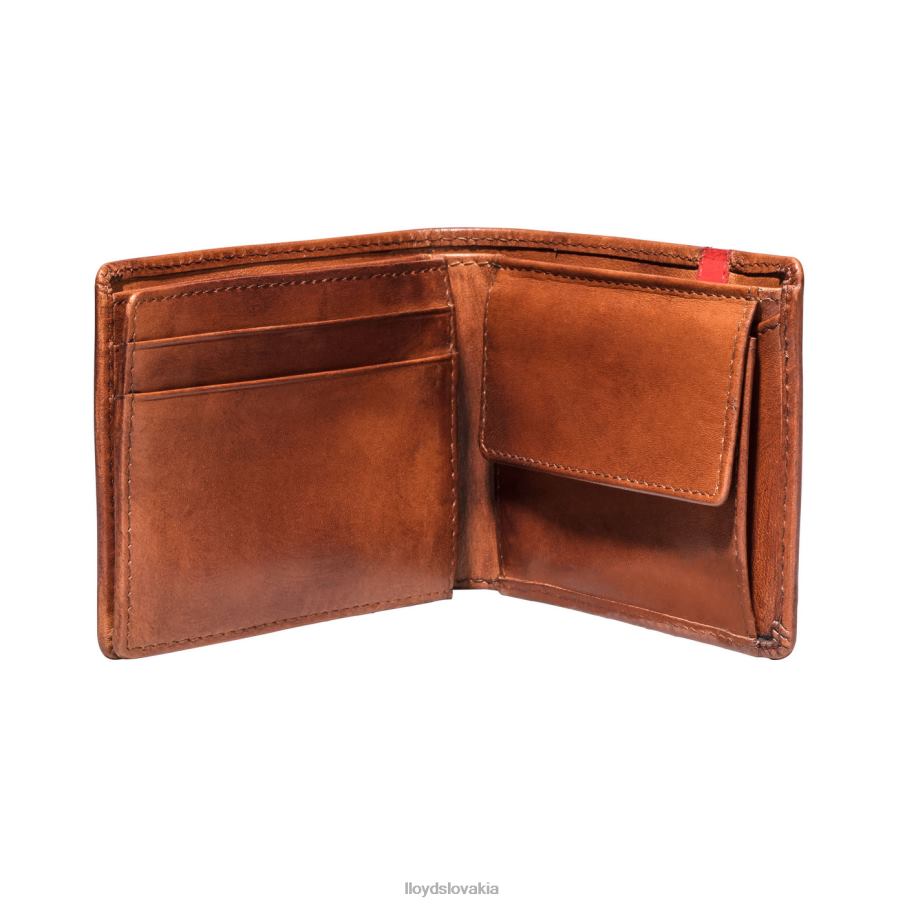 LLOYD vrecko muži príslušenstvo hnedá 6R0JN677