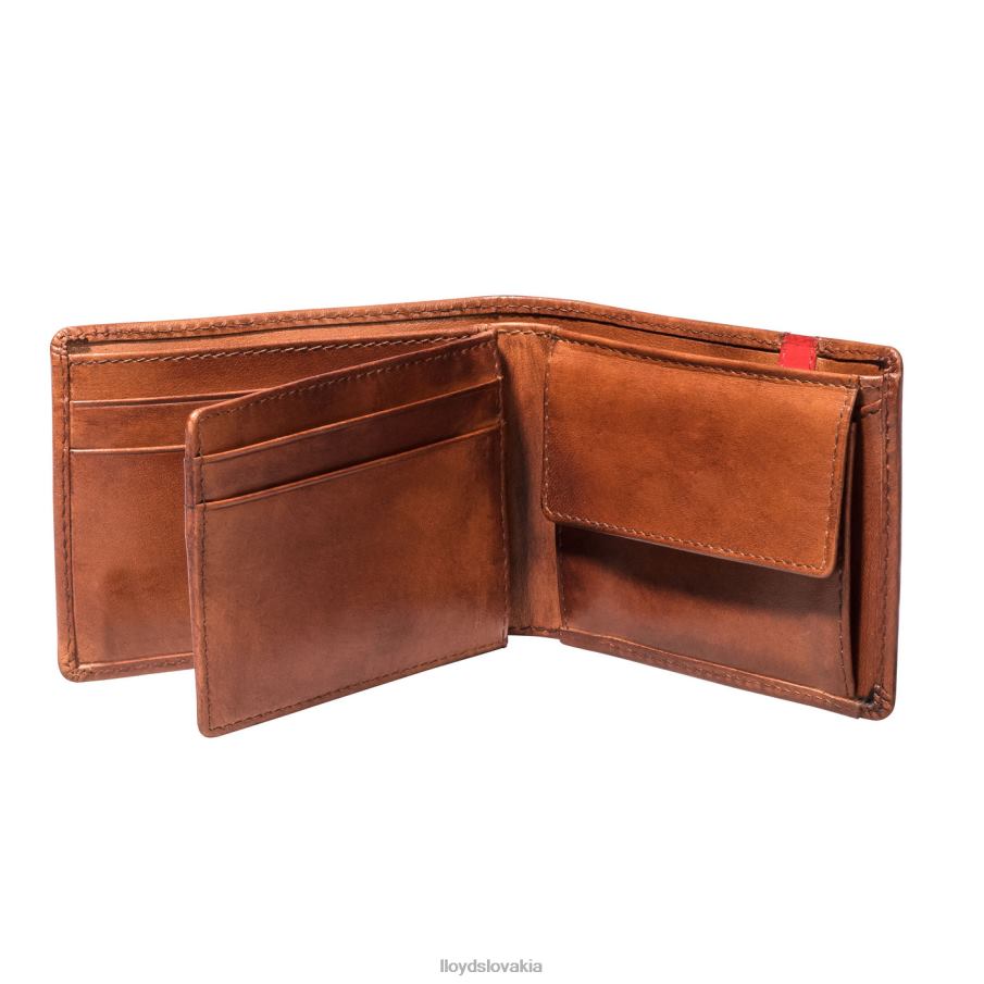 LLOYD vrecko muži príslušenstvo hnedá 6R0JN677