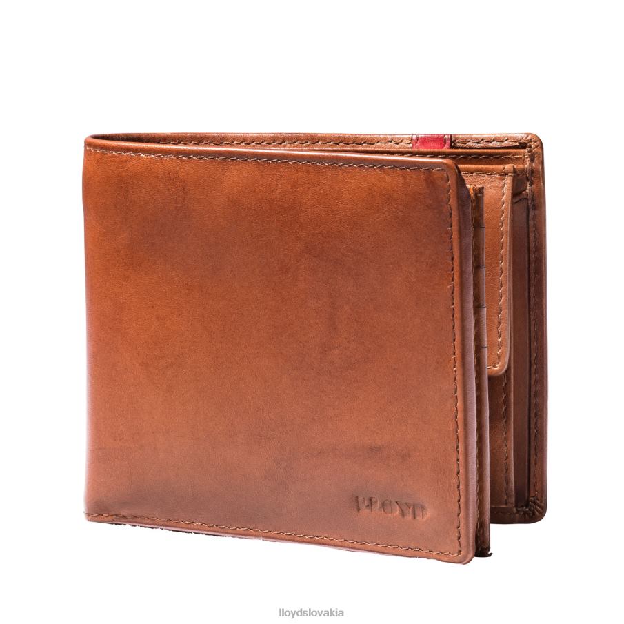 LLOYD vrecko muži príslušenstvo hnedá 6R0JN680