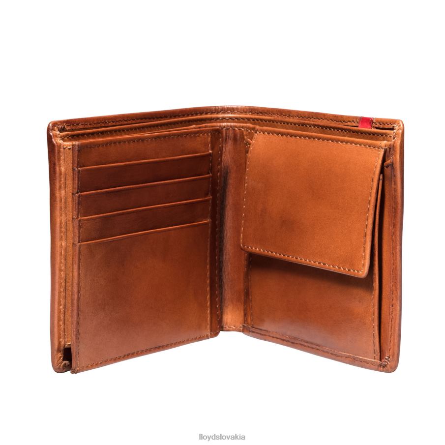 LLOYD vrecko muži príslušenstvo hnedá 6R0JN680