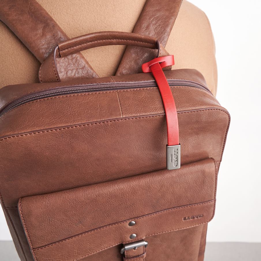 LLOYD batoh muži príslušenstvo hnedá 6R0JN651