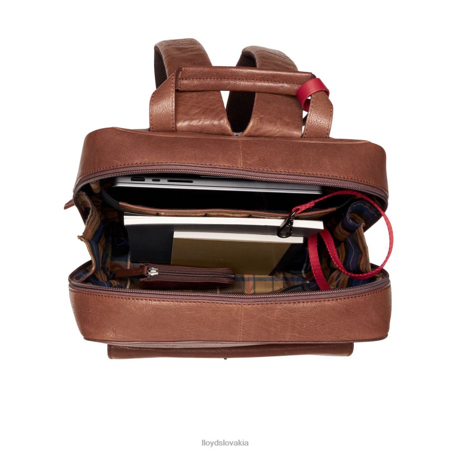 LLOYD batoh muži príslušenstvo hnedá 6R0JN651