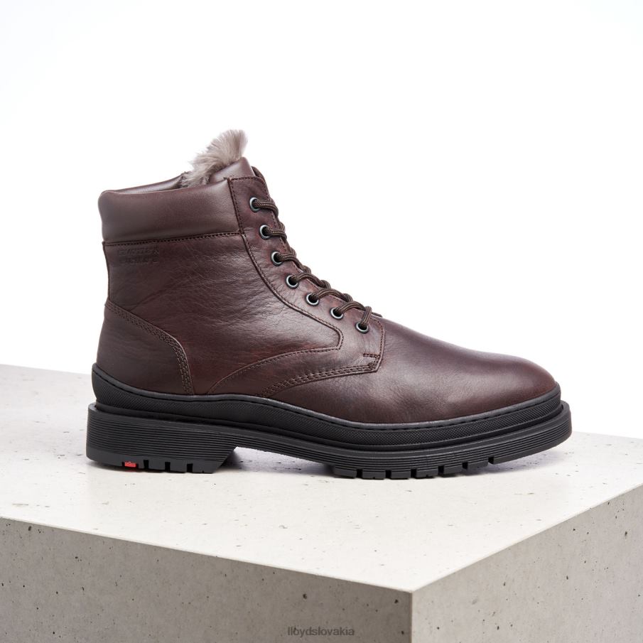 LLOYD Hollis muži topánky hnedá 6R0JN509