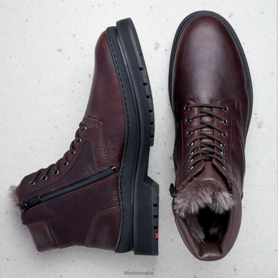 LLOYD Hollis muži topánky hnedá 6R0JN509