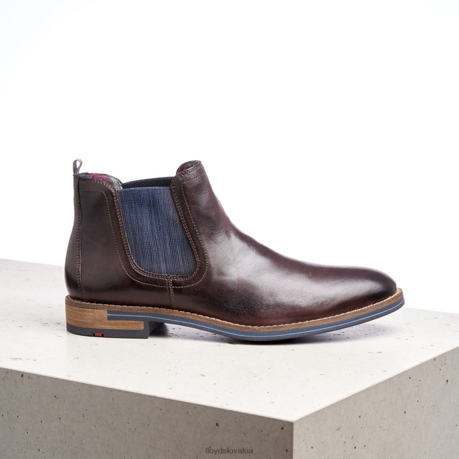 LLOYD dario muži topánky hnedá 6R0JN1342