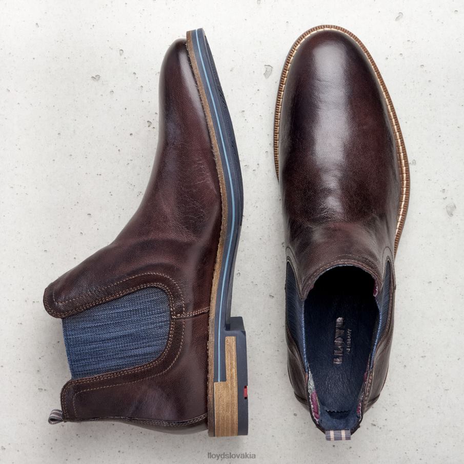 LLOYD dario muži topánky hnedá 6R0JN1342