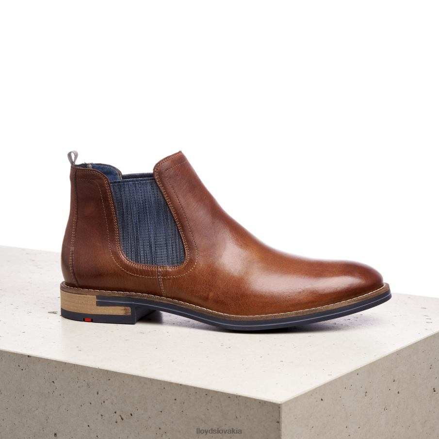 LLOYD dario muži topánky hnedá 6R0JN1343