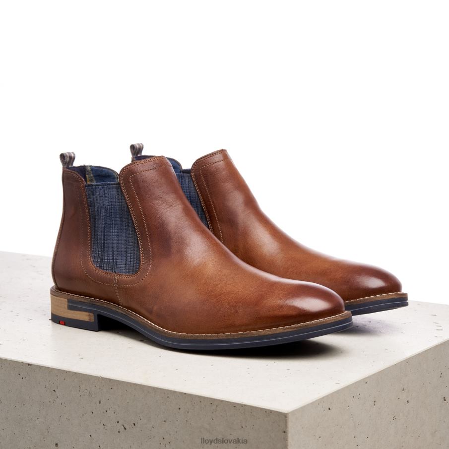 LLOYD dario muži topánky hnedá 6R0JN1343