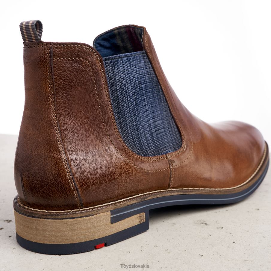 LLOYD dario muži topánky hnedá 6R0JN1343