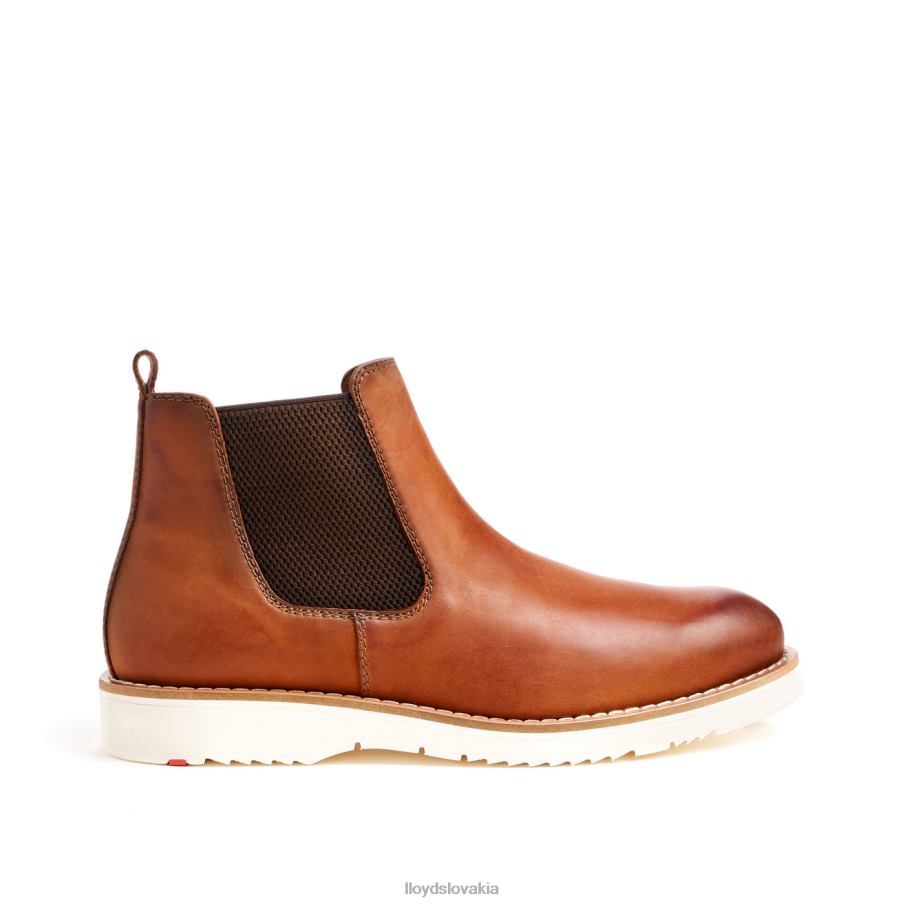 LLOYD denton muži topánky hnedá 6R0JN477