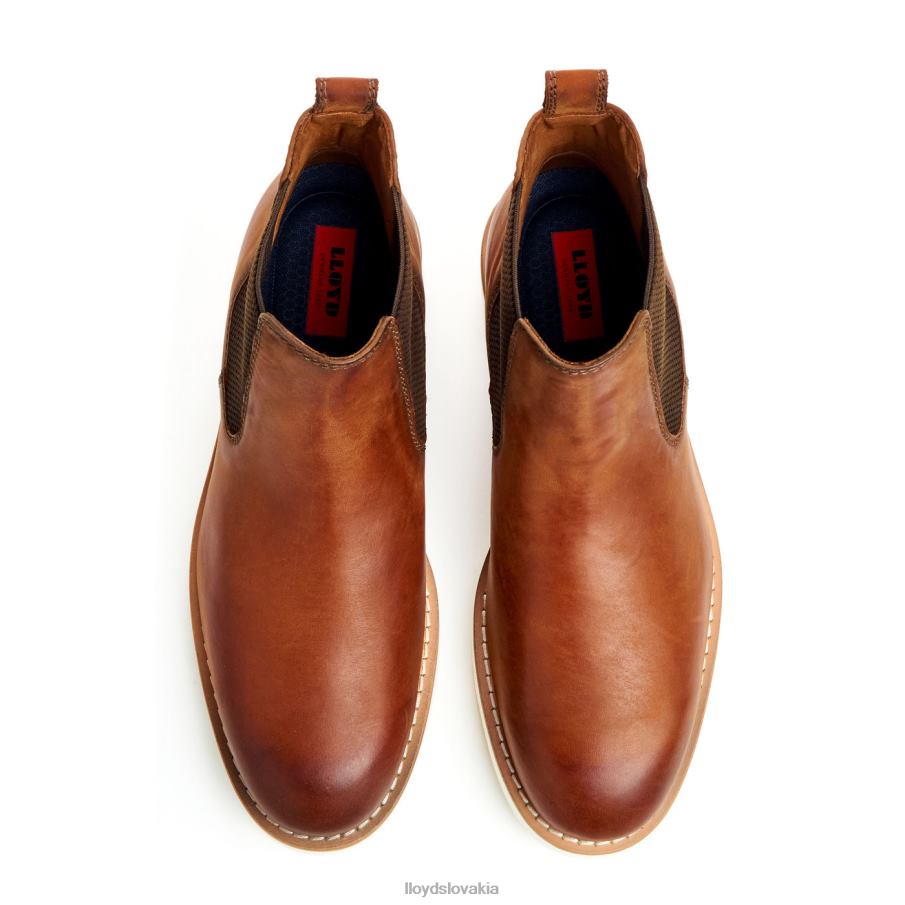 LLOYD denton muži topánky hnedá 6R0JN477