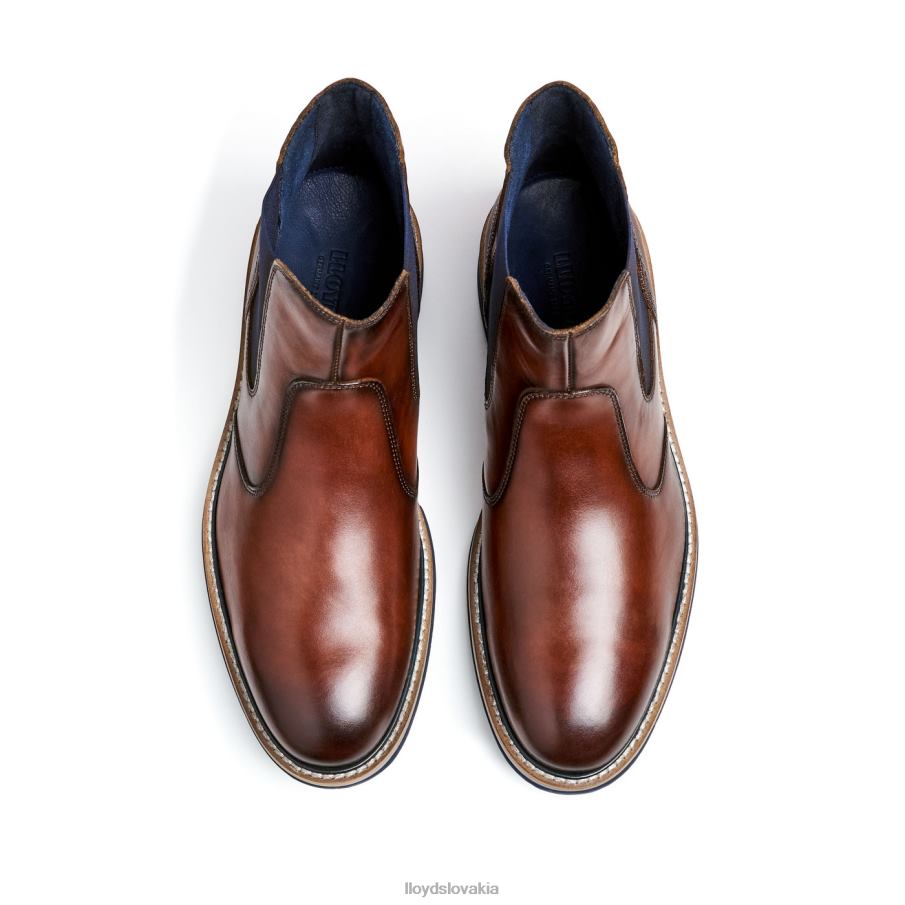 LLOYD dexter muži topánky hnedá 6R0JN469