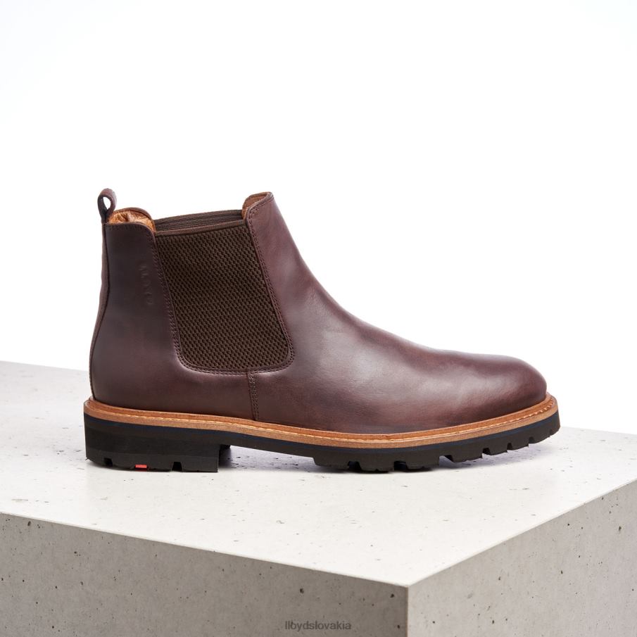 LLOYD fedor muži topánky hnedá 6R0JN523