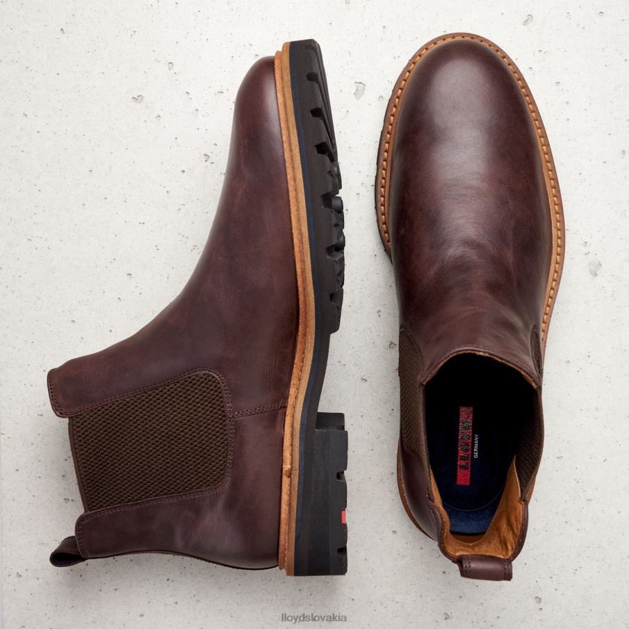 LLOYD fedor muži topánky hnedá 6R0JN523