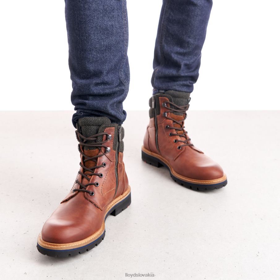 LLOYD flavio muži topánky hnedá 6R0JN506