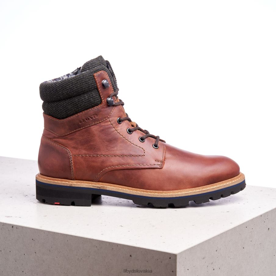 LLOYD flavio muži topánky hnedá 6R0JN506