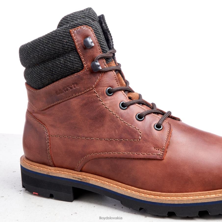 LLOYD flavio muži topánky hnedá 6R0JN506