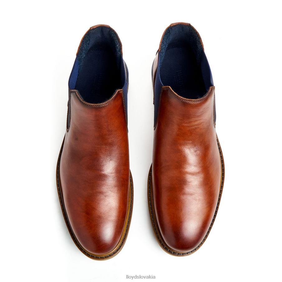 LLOYD henry muži topánky hnedá 6R0JN464