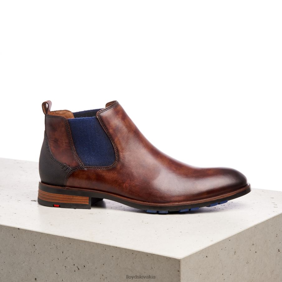 LLOYD jaser muži topánky hnedá 6R0JN200