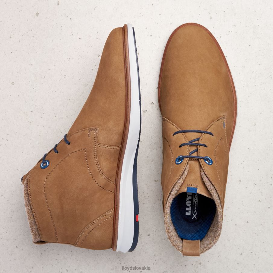LLOYD maxwell muži topánky hnedá 6R0JN275