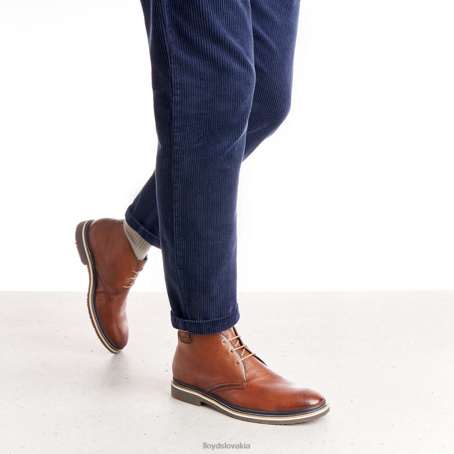 LLOYD norko muži topánky hnedá 6R0JN554