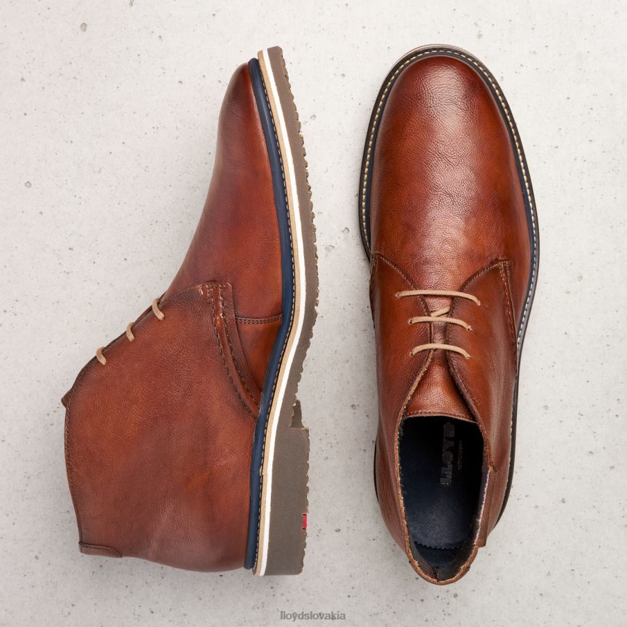 LLOYD norko muži topánky hnedá 6R0JN554