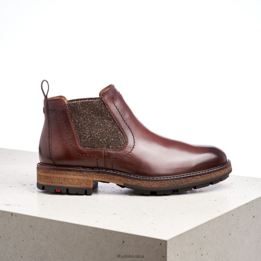 LLOYD odem muži topánky hnedá 6R0JN532