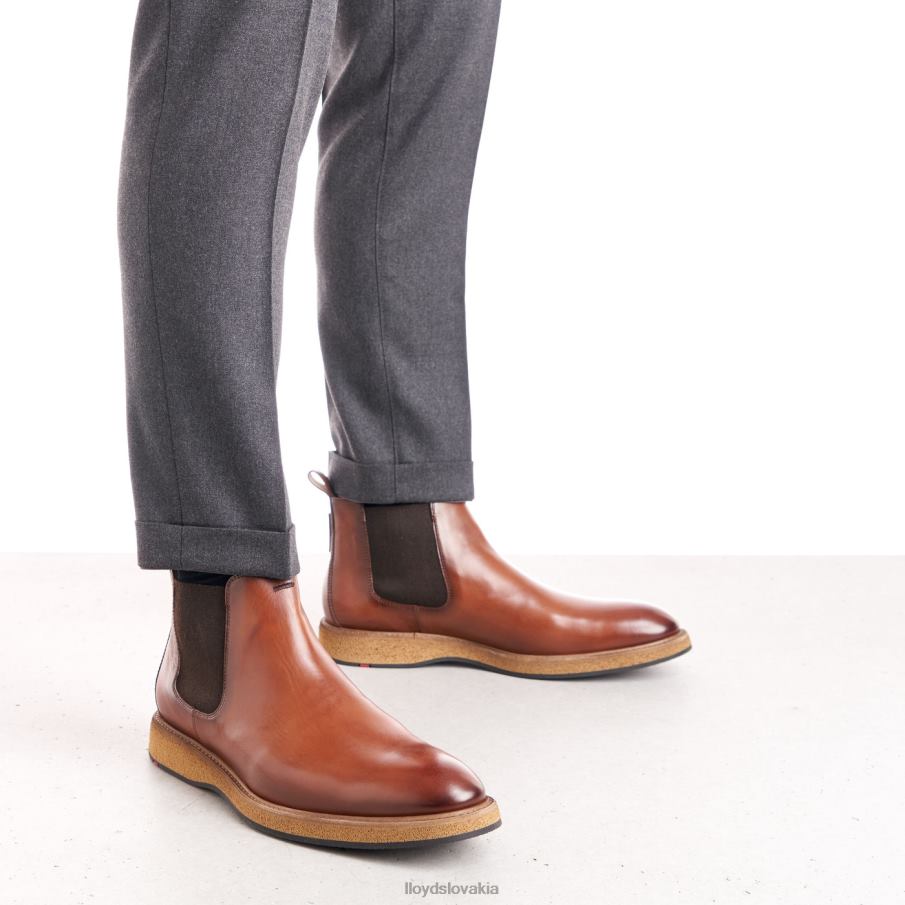 LLOYD oris muži topánky hnedá 6R0JN558