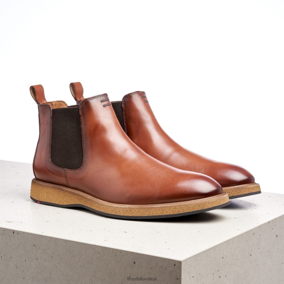 LLOYD oris muži topánky hnedá 6R0JN558