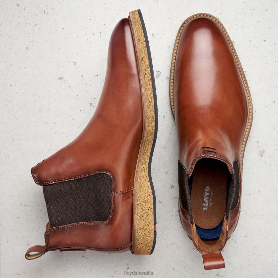 LLOYD oris muži topánky hnedá 6R0JN558