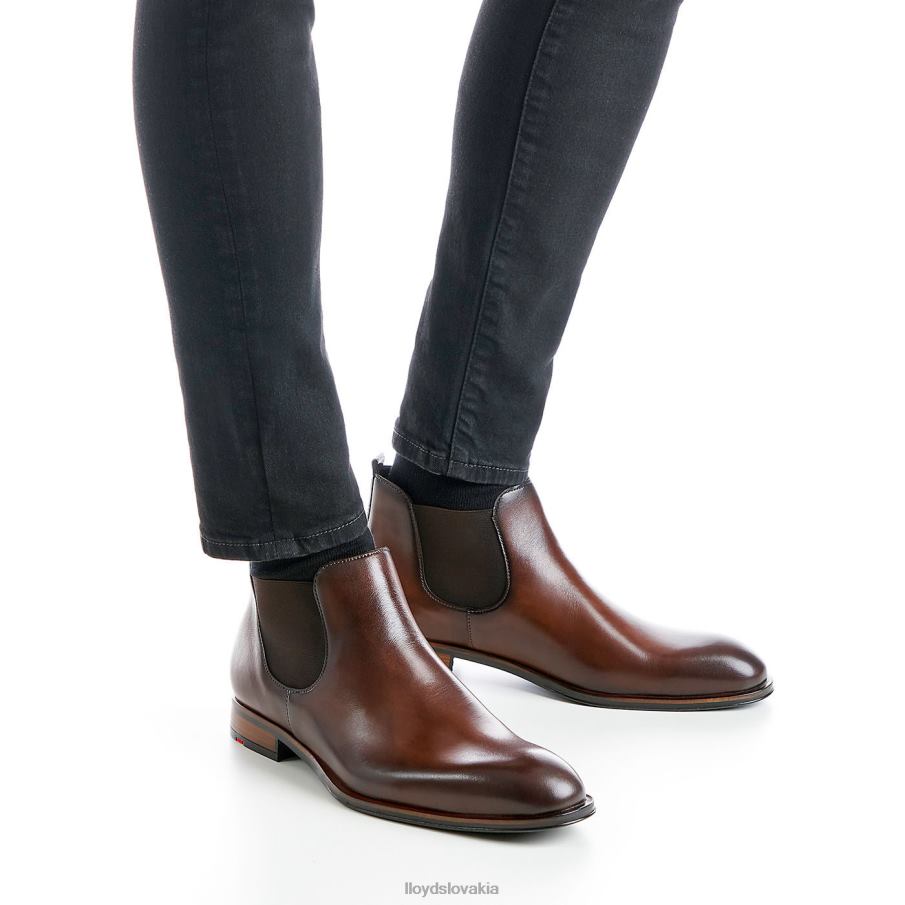 LLOYD skaut muži topánky hnedá 6R0JN239