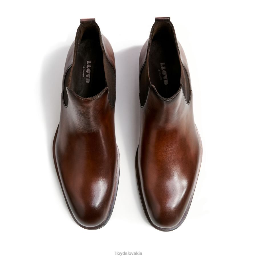 LLOYD skaut muži topánky hnedá 6R0JN239