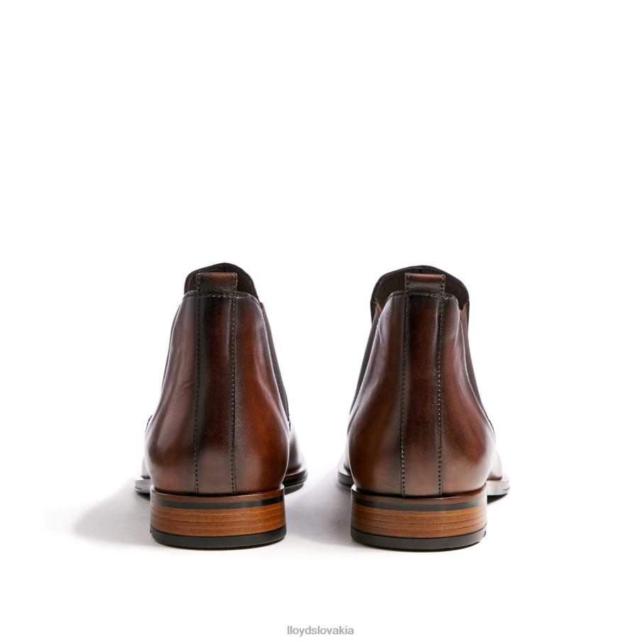 LLOYD skaut muži topánky hnedá 6R0JN239
