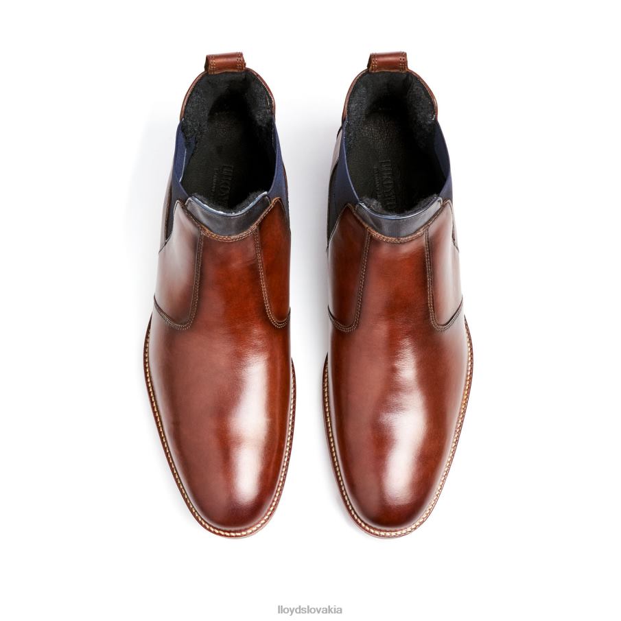 LLOYD vesuv muži topánky hnedá 6R0JN145