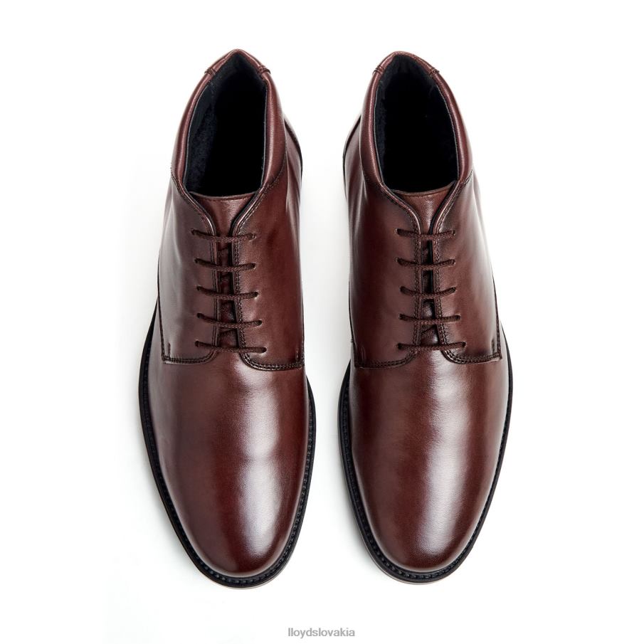 LLOYD viney muži topánky hnedá 6R0JN528