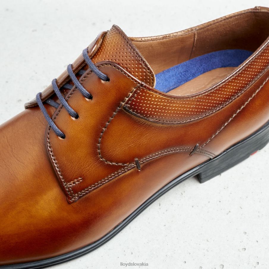 LLOYD Madison muži topánky hnedá 6R0JN192