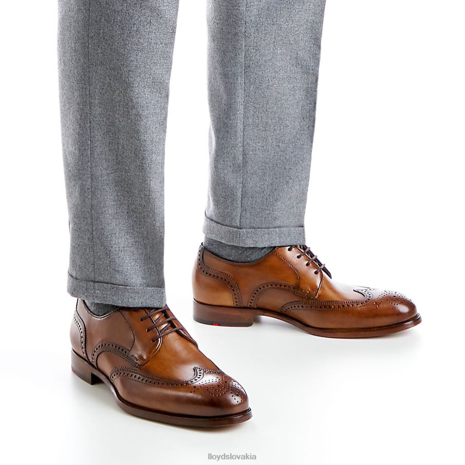 LLOYD Sheridan muži topánky hnedá 6R0JN205