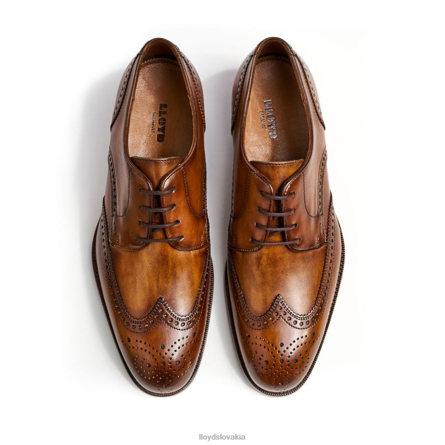 LLOYD Sheridan muži topánky hnedá 6R0JN205