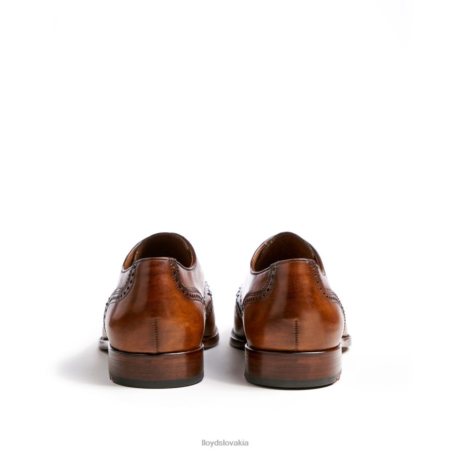 LLOYD Sheridan muži topánky hnedá 6R0JN205