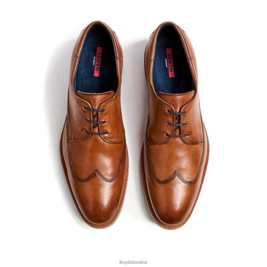 LLOYD Taylor muži topánky hnedá 6R0JN1325