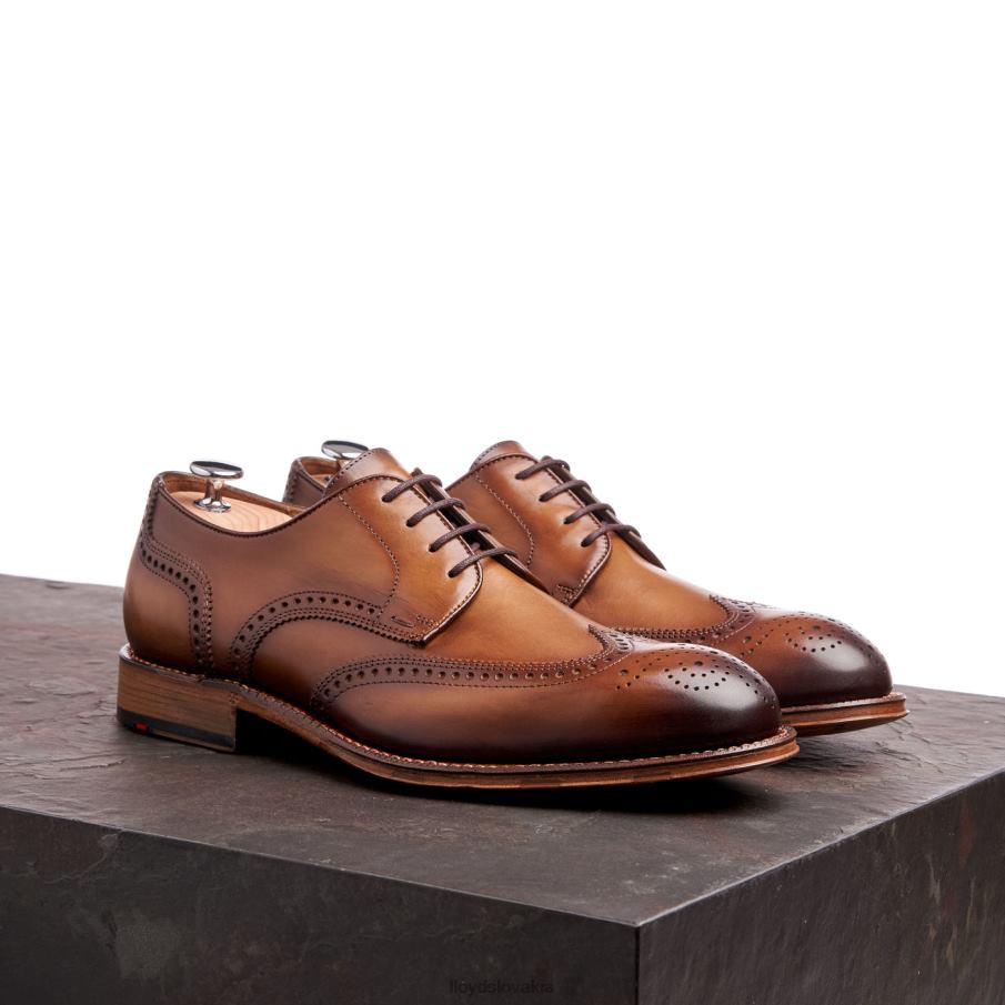 LLOYD Warwick muži topánky hnedá 6R0JN74