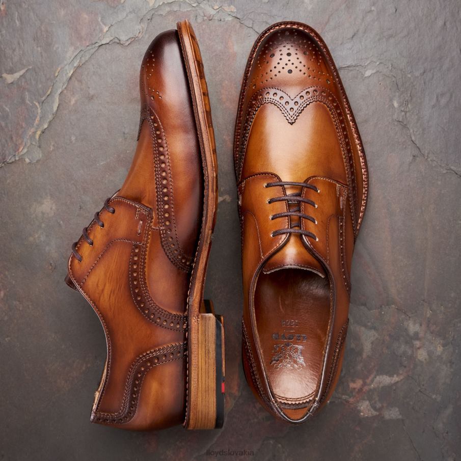 LLOYD Warwick muži topánky hnedá 6R0JN74