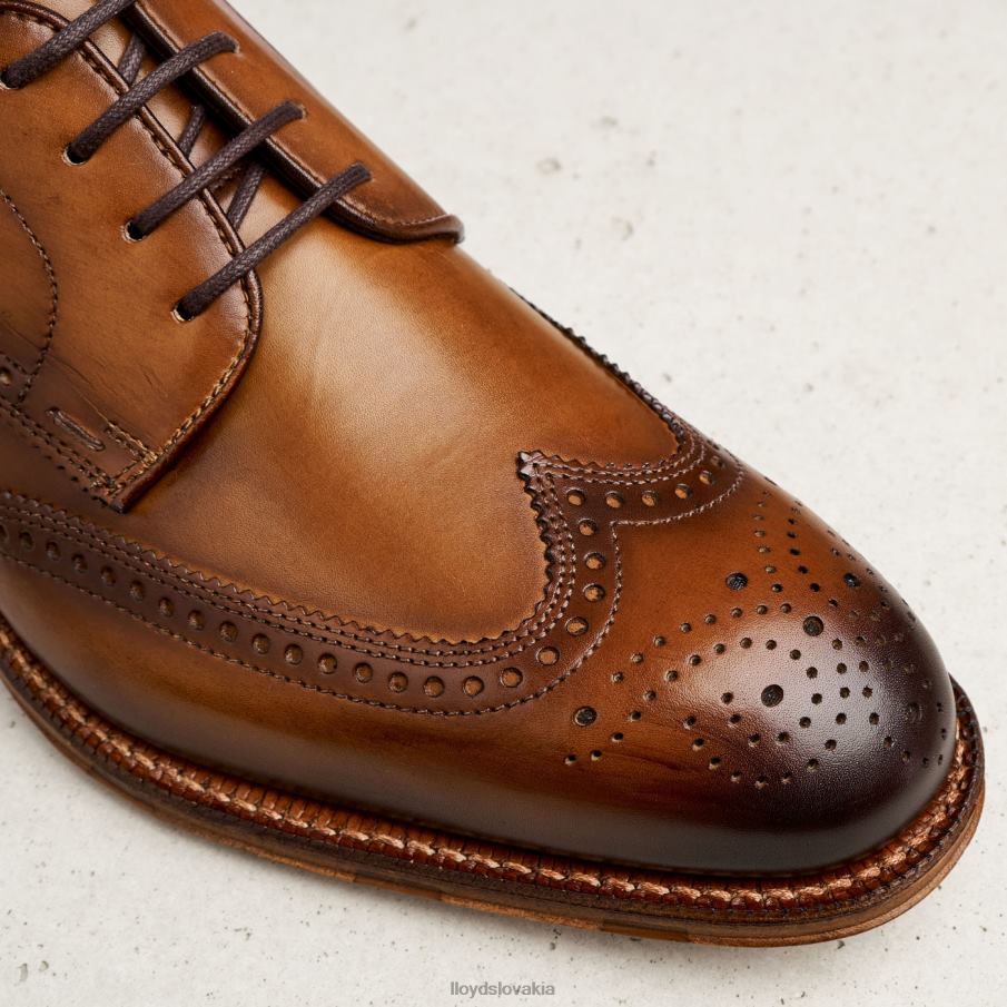 LLOYD Warwick muži topánky hnedá 6R0JN74