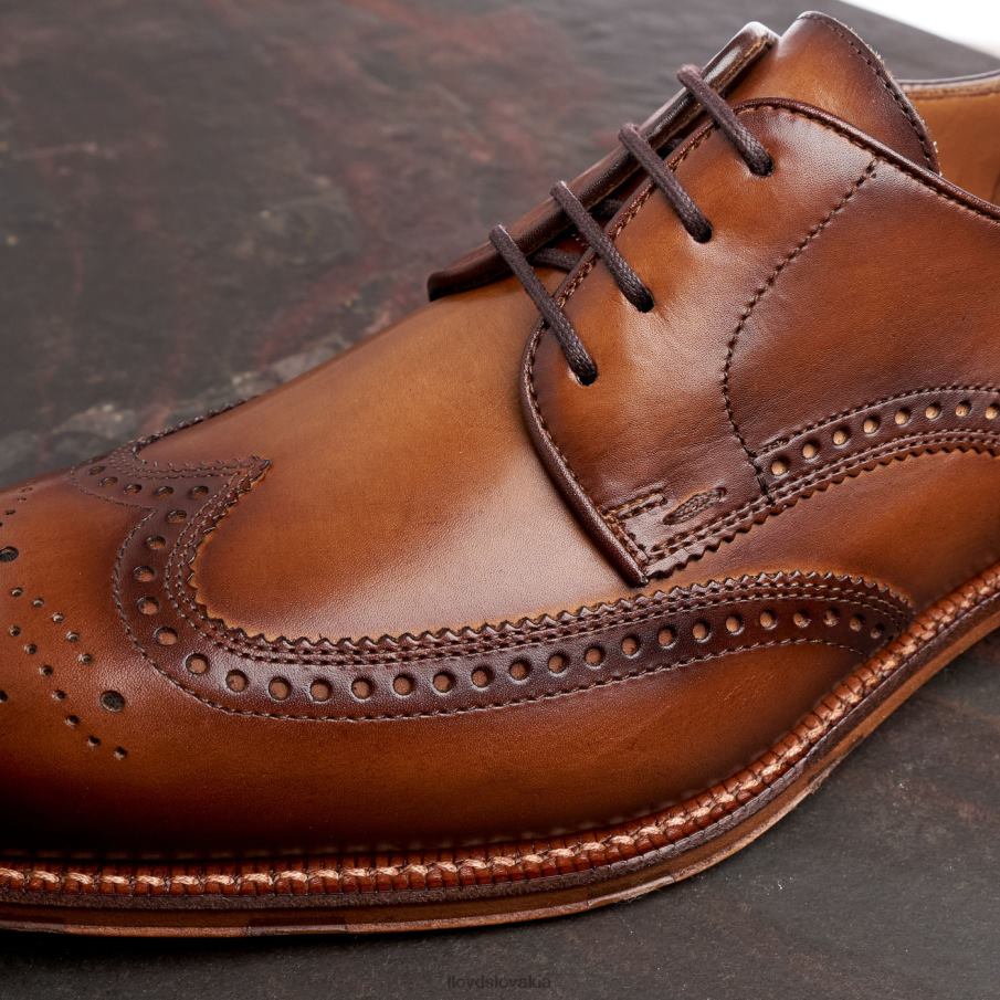 LLOYD Warwick muži topánky hnedá 6R0JN74