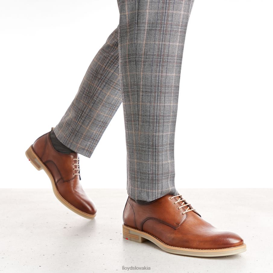 LLOYD dakota muži topánky hnedá 6R0JN608