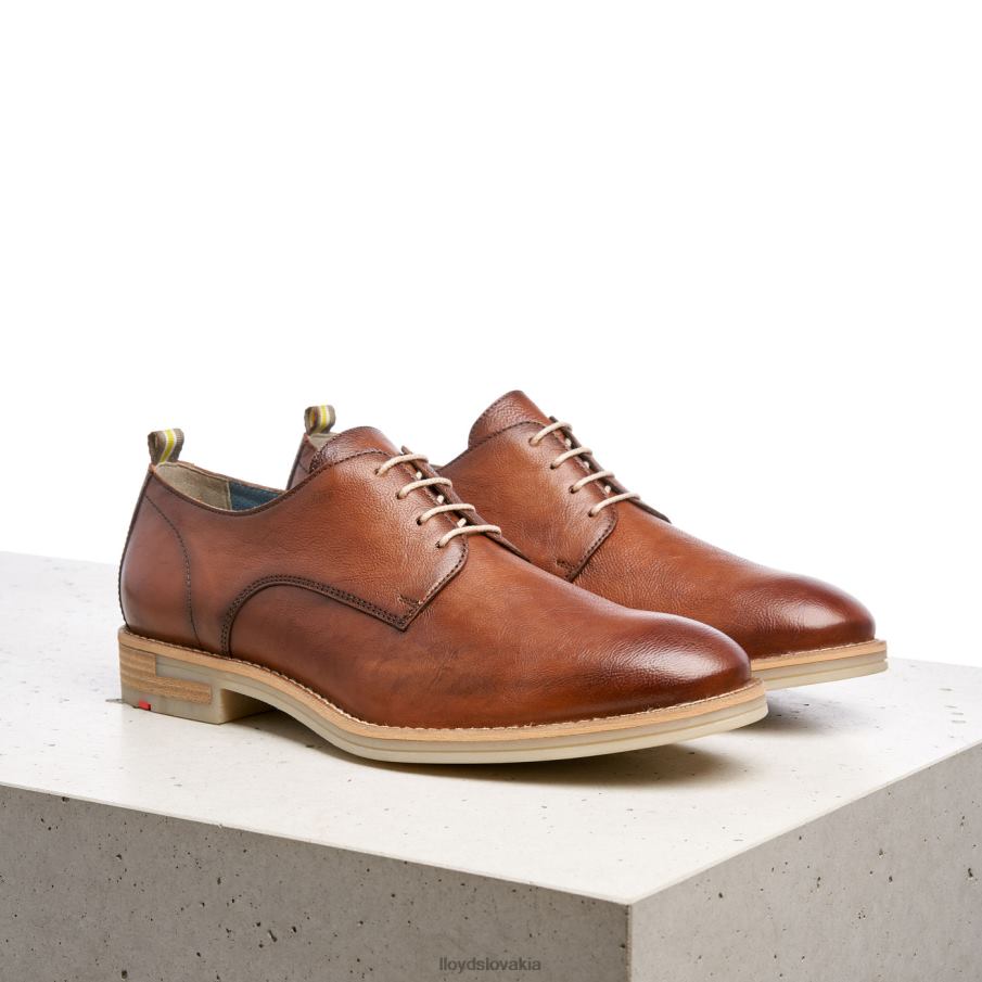 LLOYD dakota muži topánky hnedá 6R0JN608