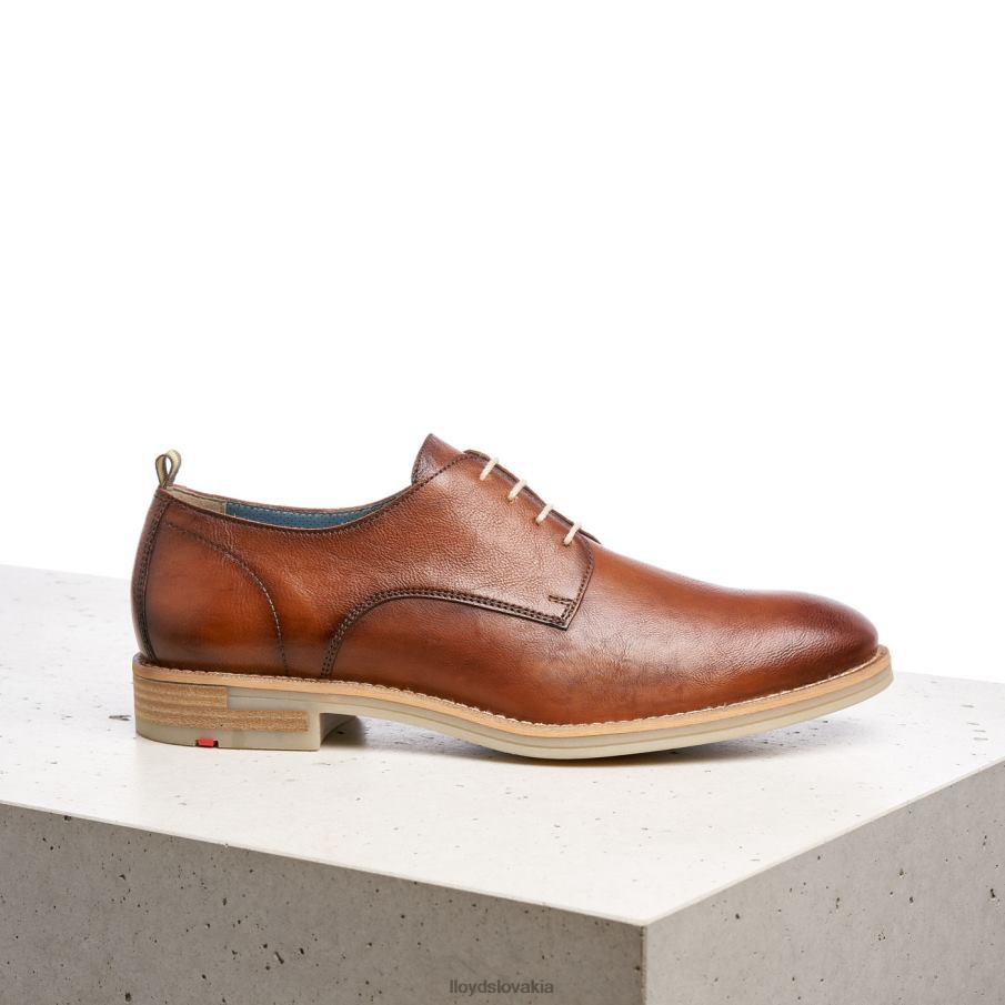 LLOYD dakota muži topánky hnedá 6R0JN608